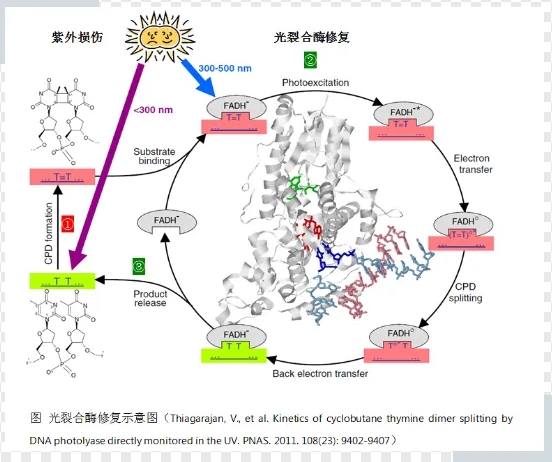 微(wēi)信截圖_20240604120122